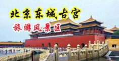 搞鸡骚逼网站中国北京-东城古宫旅游风景区